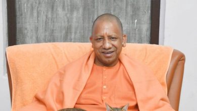Up Top News Live: CM Yogi Wish Eid Congratulations, 582 judges transferred in UP