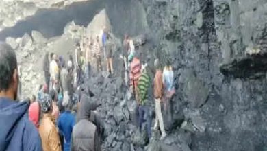 Coal Ministry said, eight eco-parks built to promote Khan tourism!