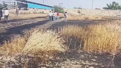 The latest news of short video