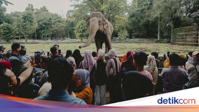 The price of admission to TMII, Ragunan, to Ancol on the Lebaran 2025 holiday holiday