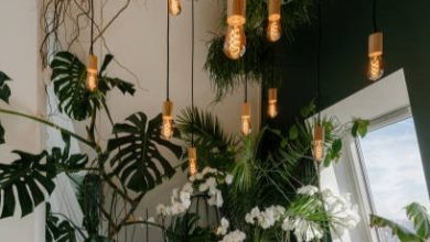 Decorate home over bohemian theme
