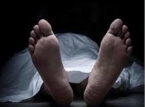 In Southern Delhi, 3 minors killed a person and tried to burn the body