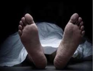 In Southern Delhi, 3 minors killed a person and tried to burn the body