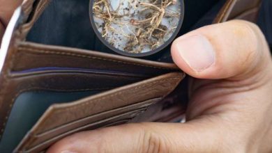 What happens by keeping basil root in the wallet?