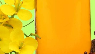 What happens by applying mustard oil?
