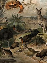 Tectonic plate has changed the fate of animals and animals?