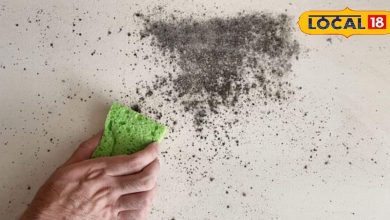 The walls of the house will shine, the stubborn stains will also be disturbed! Take these tips, will cost 5 rupees!