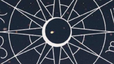 Aaj Ka Rashifal March 12: These 4 Zodiac signs will be successful in business