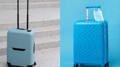Best Skybags -Trolley Bags: Stylish and Affordable Options for Your Travel