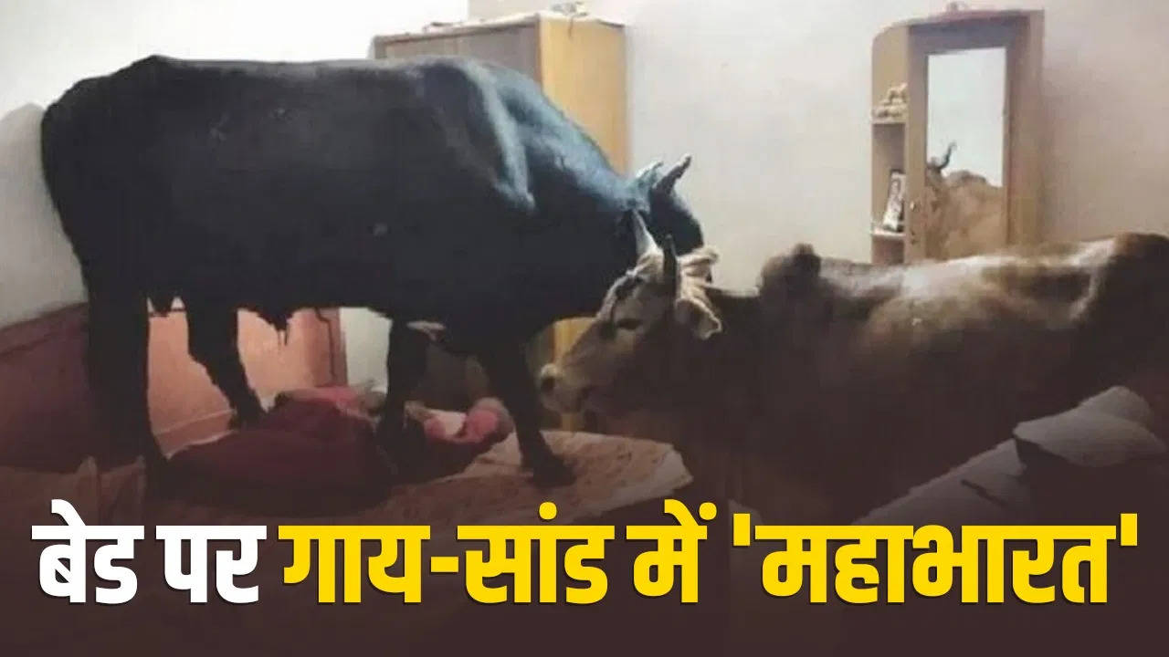 This Jatan had to be done, the woman stayed in the closet for two hours; Watch video