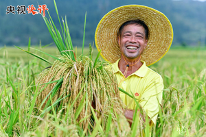 Emphasis on promoting widespread rural revival as a holistic focus of “agriculture, rural areas and farmers” at the conference