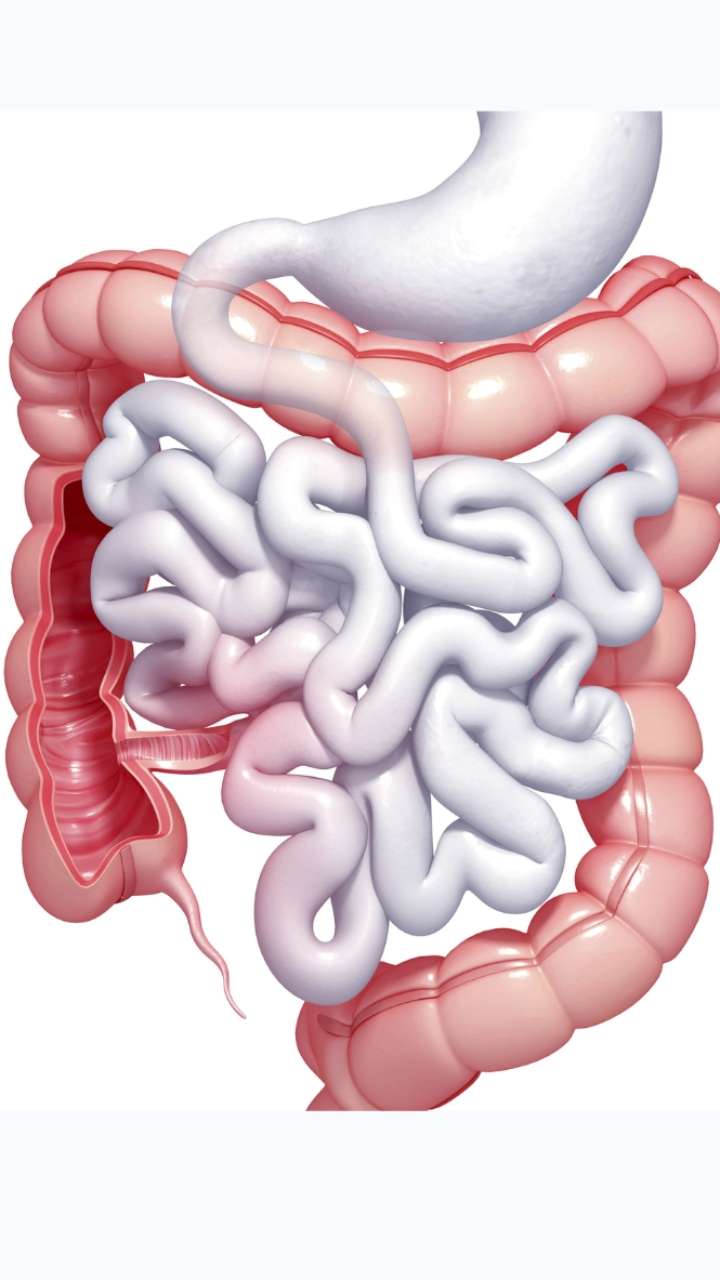 Do not ignore these indications of bowels