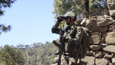 Pak Army Crosses Line of Control and Fires at Posts, India Retaliate