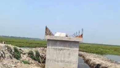 Ghazbe, builders in Bihar built ‘false bridges’ to sell plots dearly