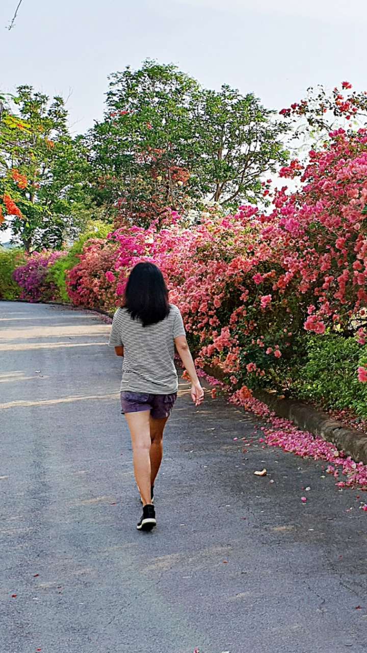 Take care of these things while walking, health will be good