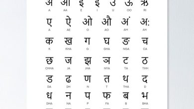 How many countries are spoken in Hindi?