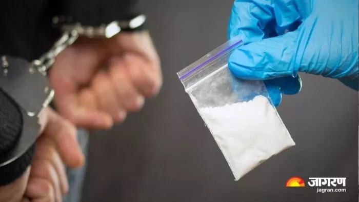 By Courier of Odisha 7 arrested drugs were provided in Delhi -ncr, 7 arrested, including a Nigerian and two women – seven arrested, including a Nigerian subject involved in drug supply in Delhi NCR