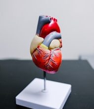 Eat these 7 things to reduce cholesterol