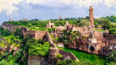 From the enormous ‘Thar Desert’ to the Historic Forte Palaces and Beautiful Lakes, Rajasthan is full of variations seen in viral videos