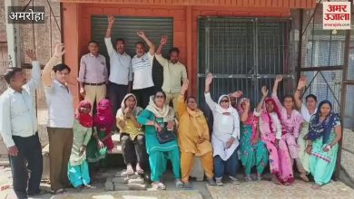 Amroa’s latest news