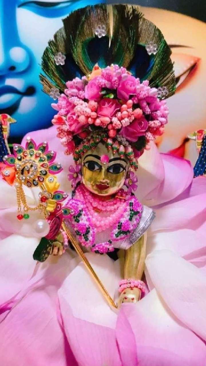 Apply Laddu Gopal to Holi, there will be a lot of progress