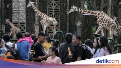 Tourist -saving attitude during Eid holidays