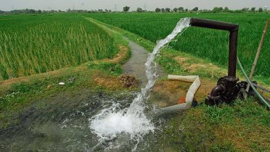 Above normal maximum temperature to hit farm costs but not sowing, experts say | Today news