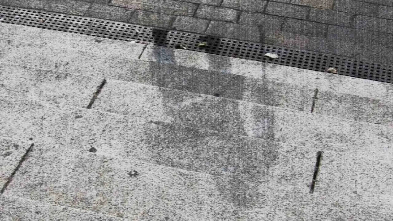 This shadow remains a mystery, nobody knows whose secret