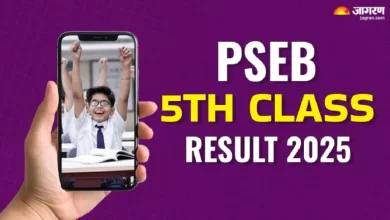 PSEB 5th Class result 2025: Punjab Board 5th Class result is released on pseb.ac.in, will be able to marry these steps – PBEE 5th Class result 2024: Punjab Bord Bord Bow Bord 5th Class Reset is released on pseb.ac.ac. Marksheet with these steps