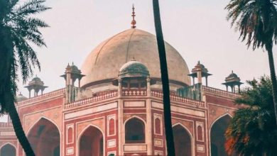 These 3 places are best to wander on International Women’s Day