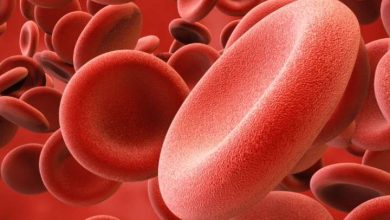 This dry fruit is a miracle to increase blood in the body