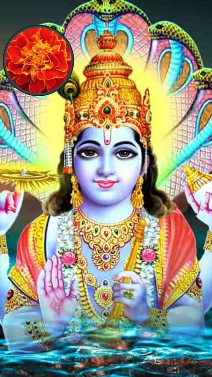 Do this remedy with yellow flowers on Amalaki Ekadashi, Bumper will earn