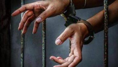 MP Police Arrest Terrorist Searched in 2022 Jaipur Serial Blasts Conspiracy Case