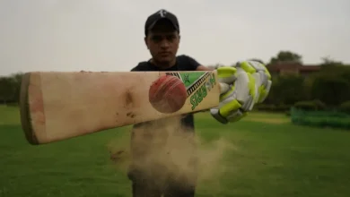 Best English Wilg Crickle Bats: Borders and beyond