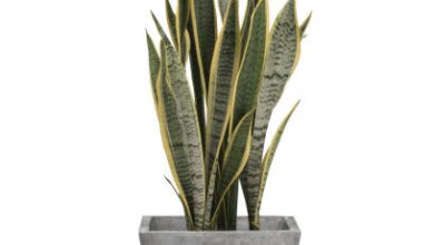 Make cement vase home