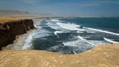 Gujarat’s coastline is quickly destroyed compared to other parts of the country