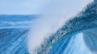 How many oceans on earth?