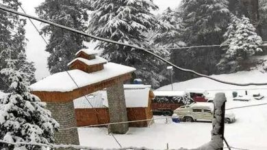 Snowfall in 6 districts of Shimla Himachal: New Year’s gift to tourists, state residents, farmers, gardeners