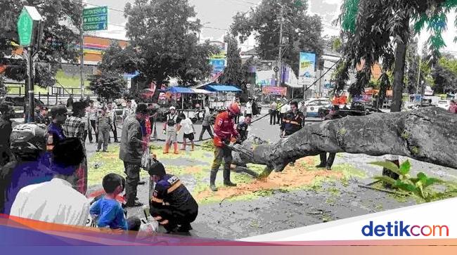 Santuni Ministry of Social Affairs 22 tree victims of trees during ID prayers in Pemalang