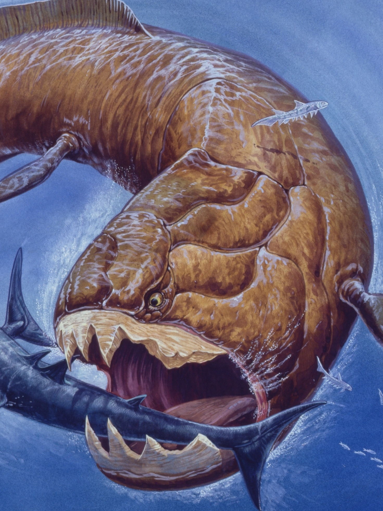 The extinct monster of the sea!