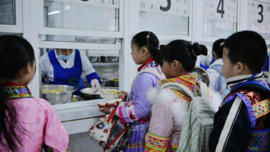China will reinforce the monitoring of food security