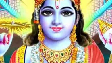 Don’t do this work on Amalaki Ekadashi, Pauper will be done