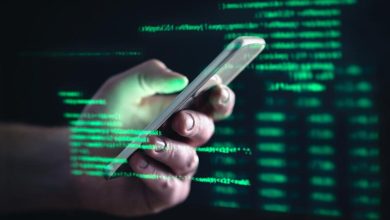 2 900 Indians are rescued from cyber fraud centers in Sasia, Mea tells Parl panel