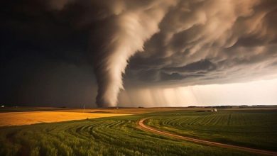 Viral Video: Powerful Arkansas Tornado uprooted trees; Weaks destruction as it swallows homes, power lines | Today news