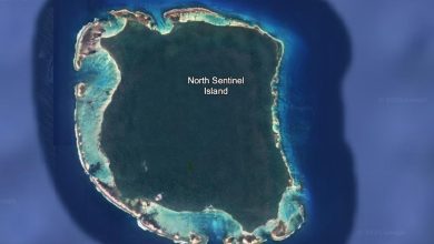 Who becomes Mykhailo Viktorovych Polyakov, man arrested for entering limited North -centing island?