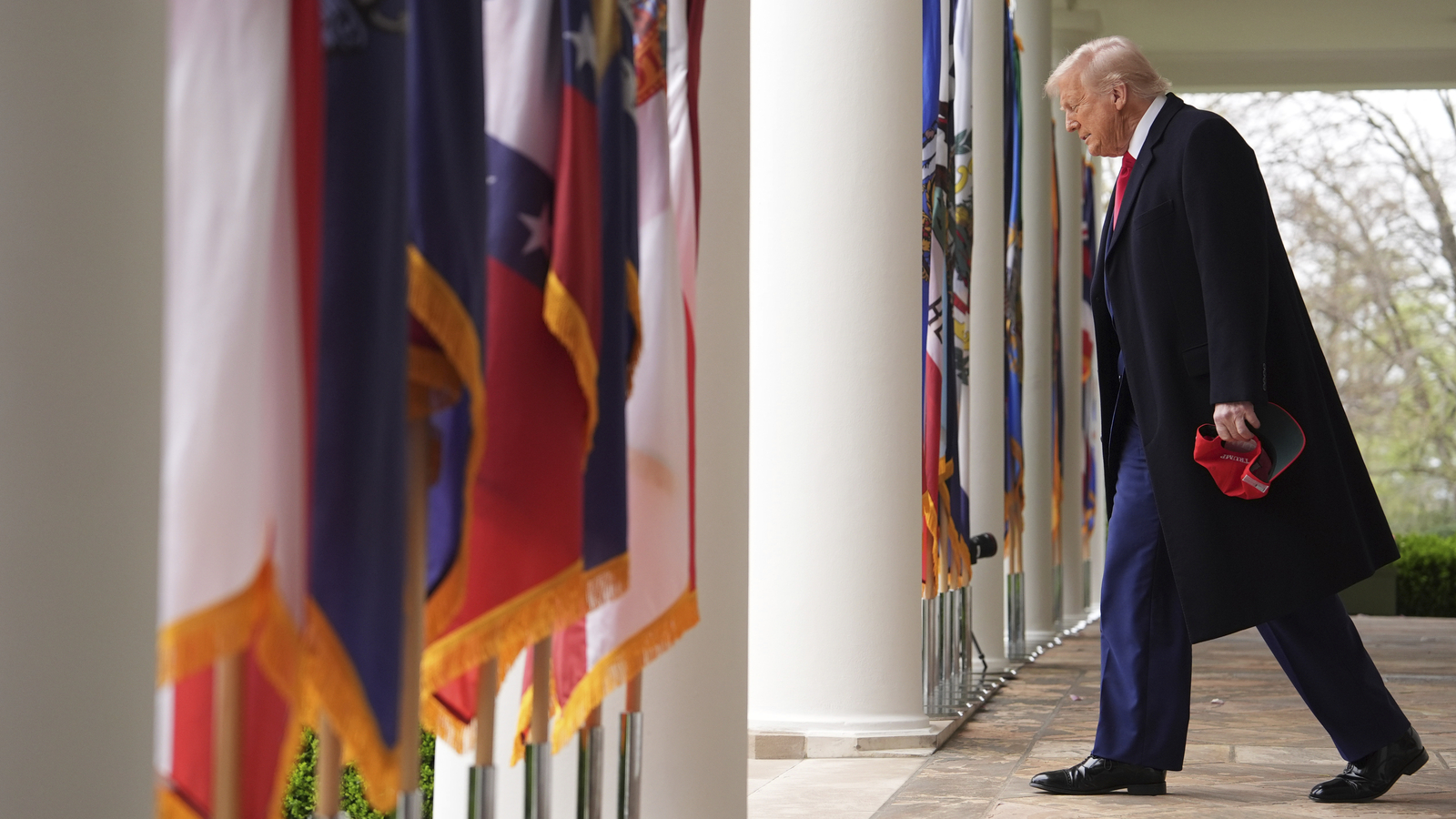 What are reciprocal rates, imposed by Trump on countries that have “looted us”