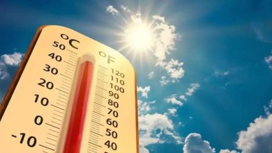 Warning of thunderstorms in Rajasthan today, see warning of Heatwave from April 5 in video