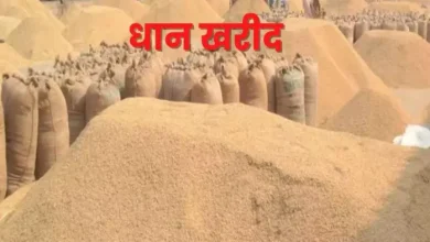 Up News: CBCID will investigate paddy scam in basti mandal, 15 secretaries have been sued -CBI CID to investigate Paddy scam in the Basti section