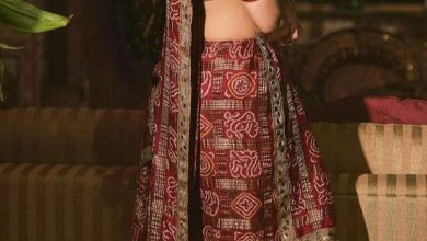 Desi Looks of Beautiful Wives or Bollywood
