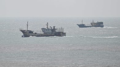 Boat carrying migrants cut the environment near Greek island, 4 dead